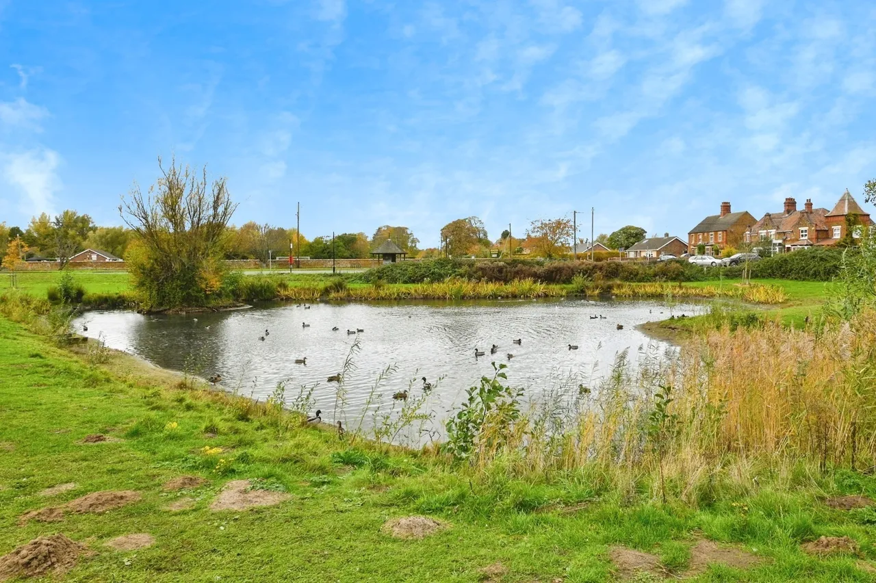 Davy Field, Hill Road, Ingoldisthorpe, King's Lynn, PE31, photo 16