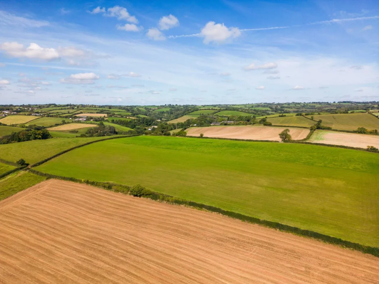 Cheriton Fitzpaine, Crediton, EX17, photo 17