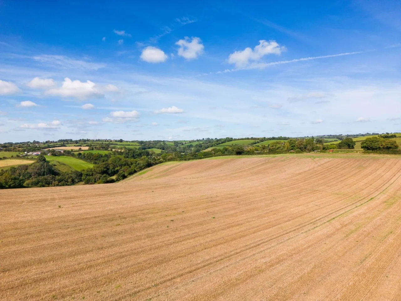 Cheriton Fitzpaine, Crediton, EX17, photo 18