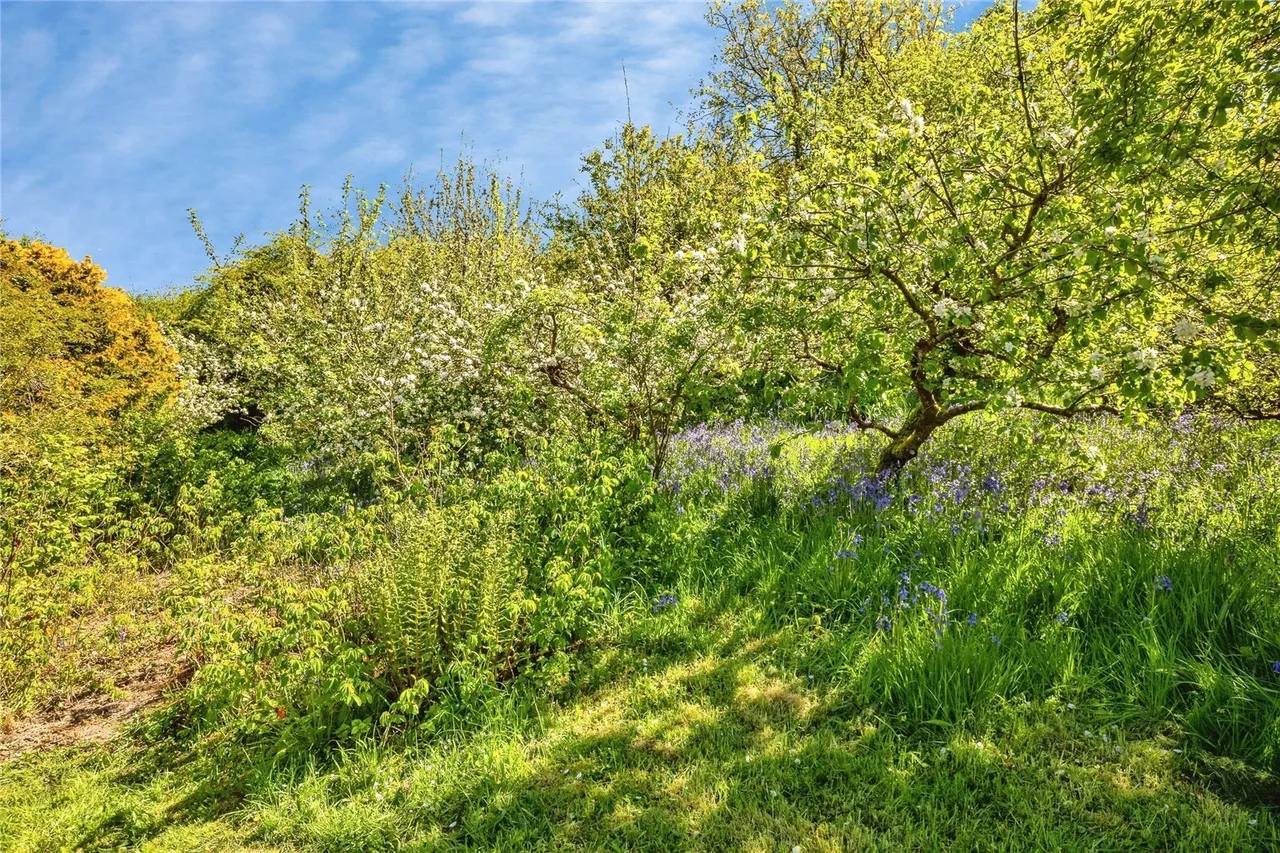 Llandygwydd, Cardigan, SA43, photo 51
