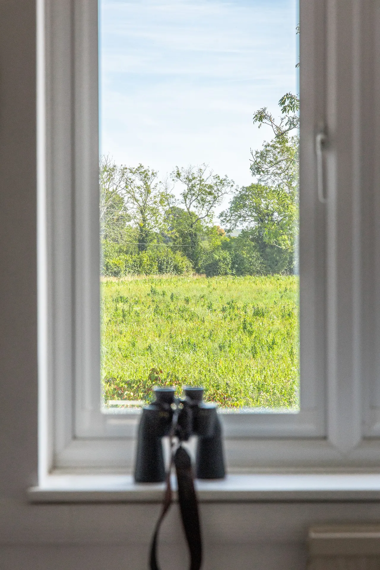 An Exceptional Country Home in Hindri, photo 13