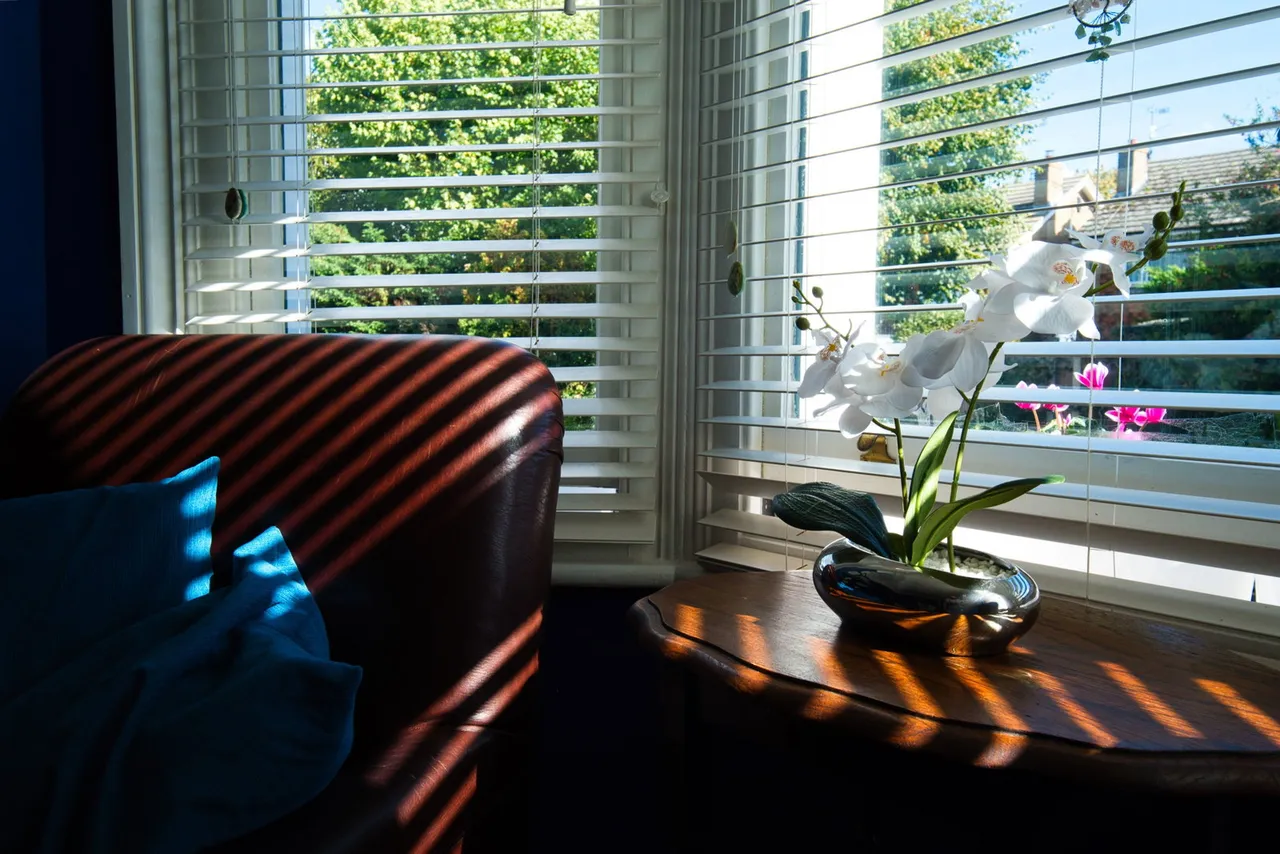 St. Anns Road, Faversham, ME13, photo 5