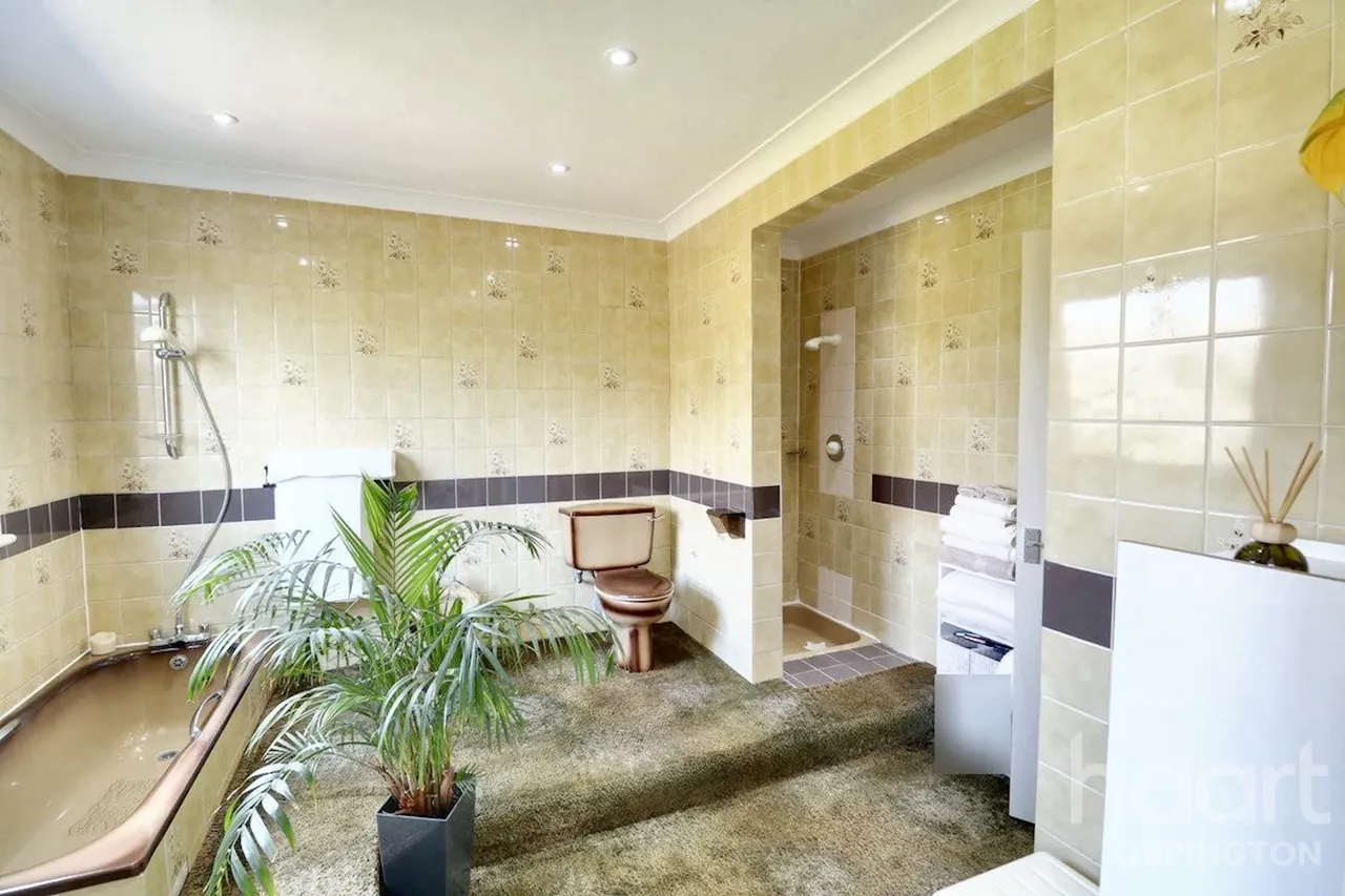 Charterhouse Road, Orpington, BR6, photo 16