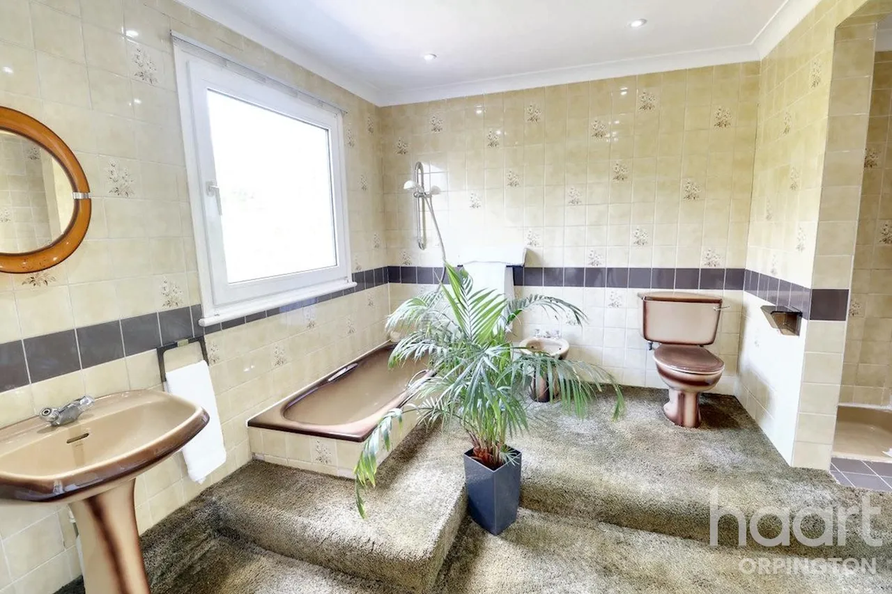 Charterhouse Road, Orpington, BR6, photo 17