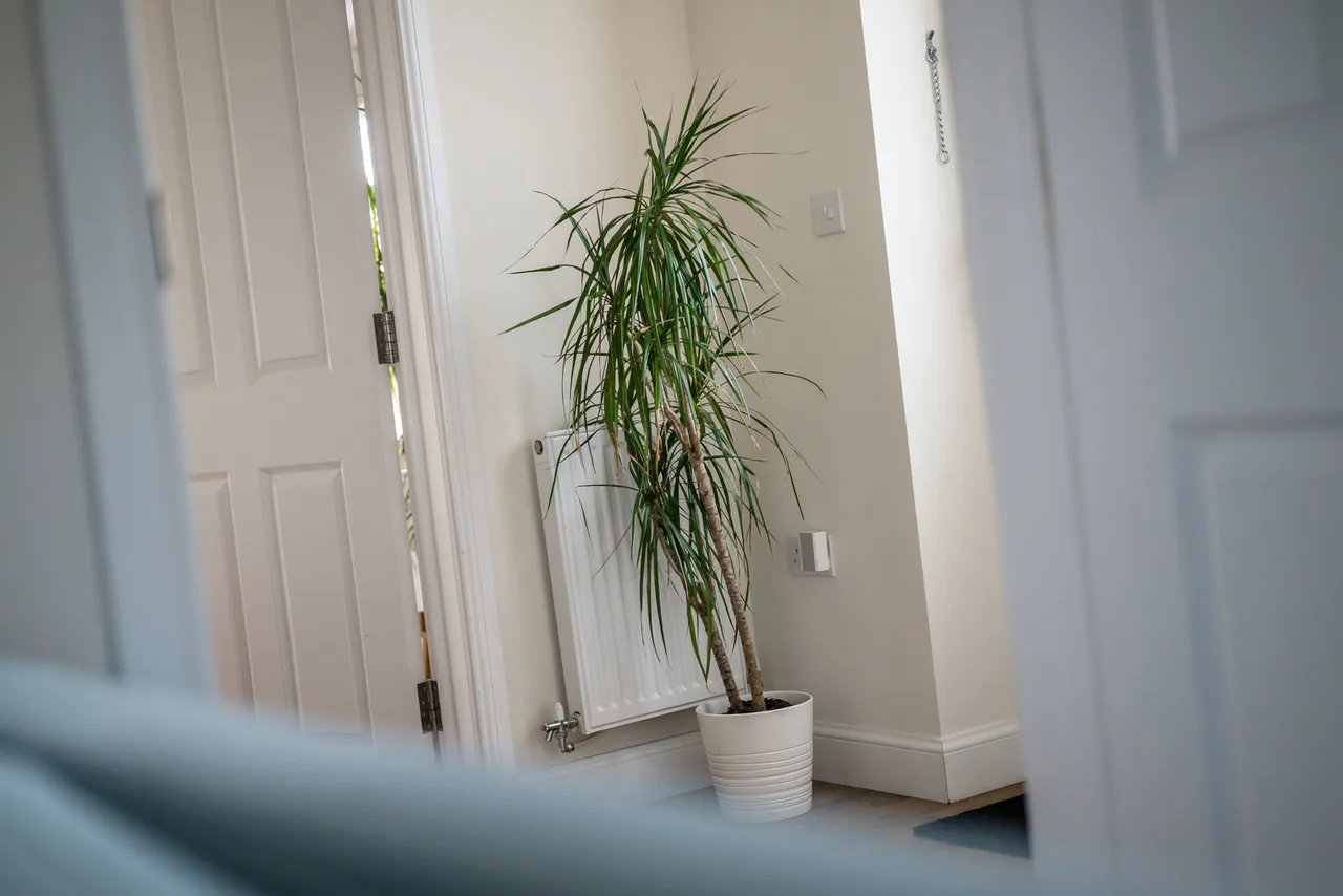 Scotgate Road, Honley, HD9, photo 49