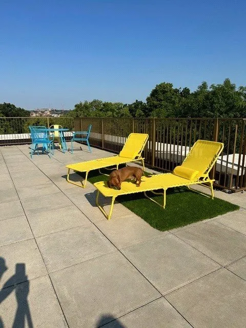 Apple Tree Road, London, N17, photo 12