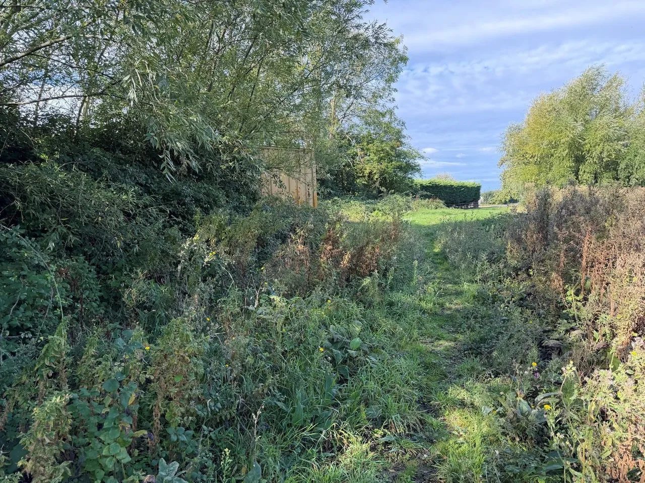 Merry Lane, Bason Bridge, TA9, photo 4