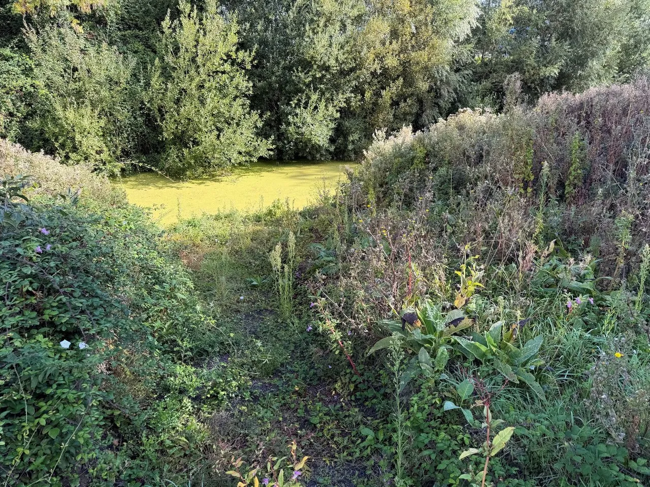 Merry Lane, Bason Bridge, TA9, photo 3
