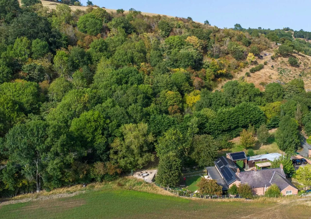 Llansantffraid, SY22, photo 37