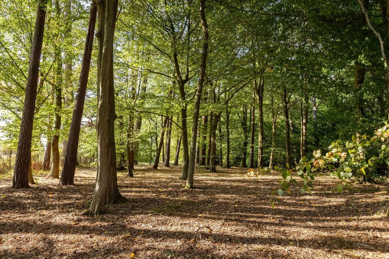 Sutton End, Sutton, RH20, photo 25