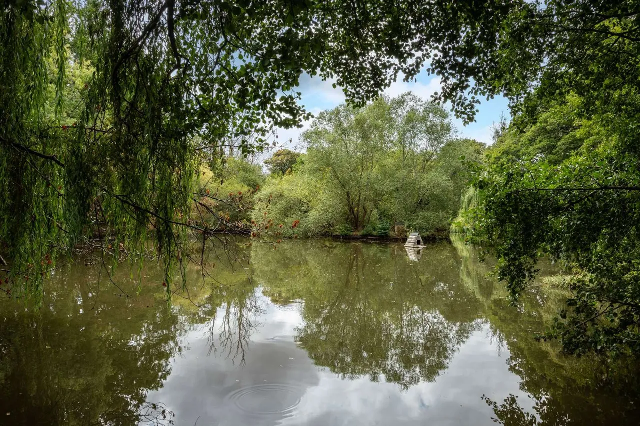 Sutton End, Sutton, RH20, photo 6