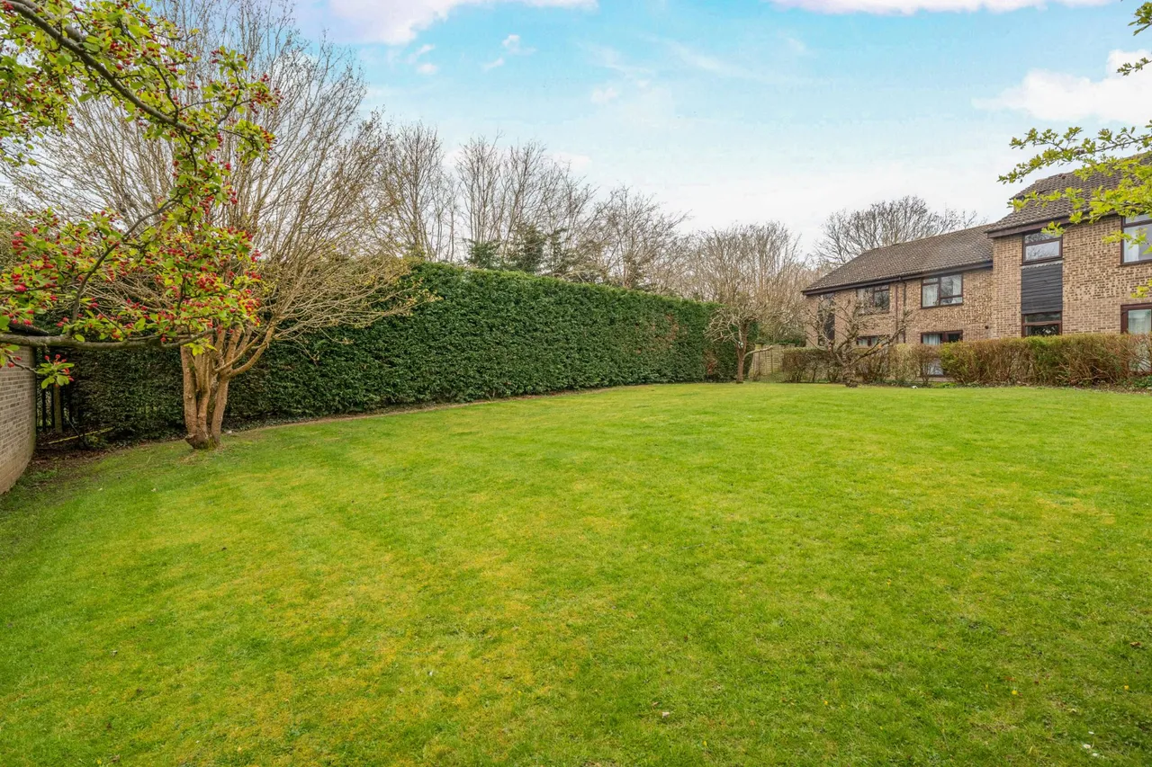 Kingfisher Drive, Guildford, GU4, photo 11