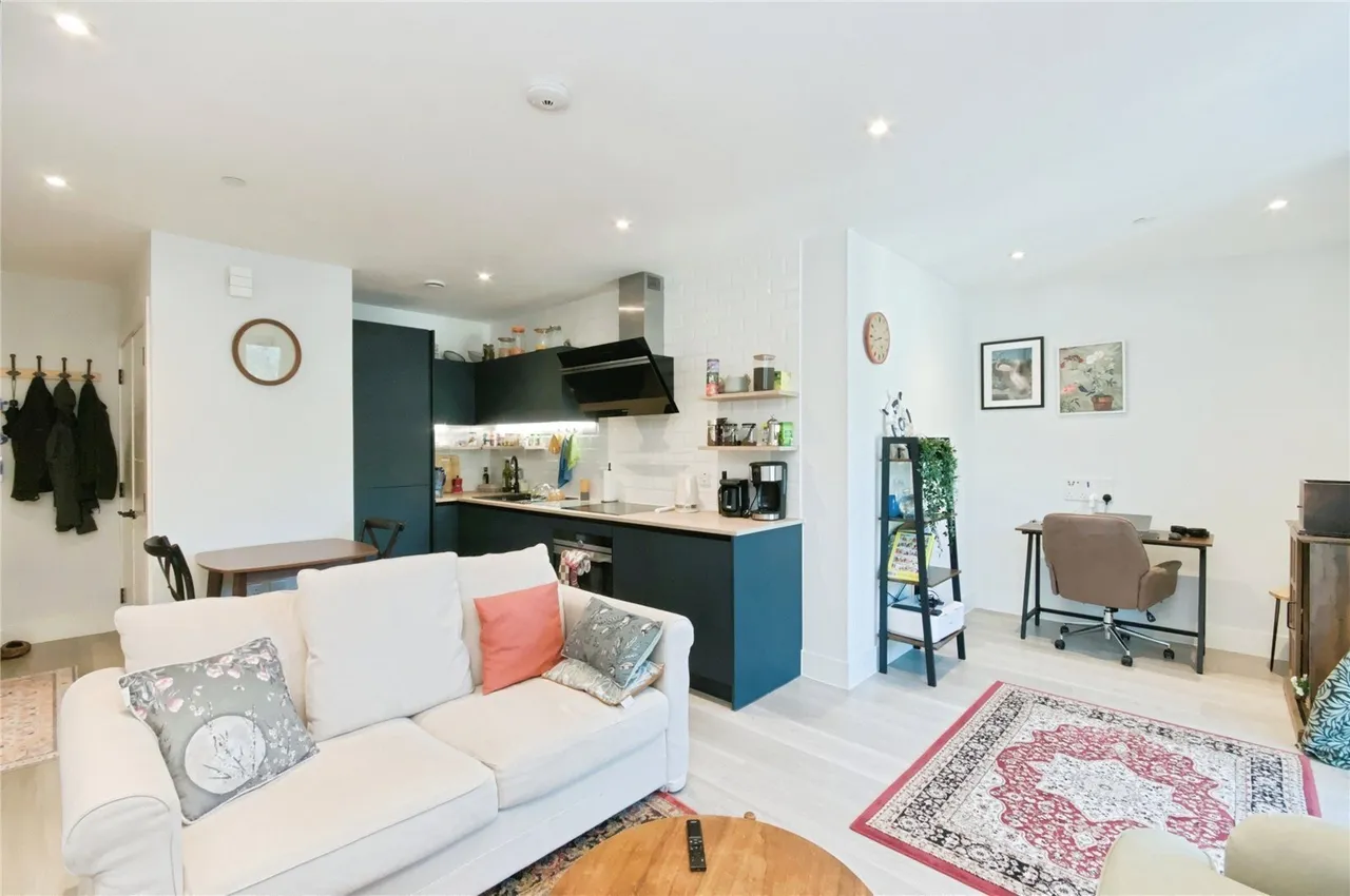 The Furlong, Brighton, BN2, photo 25