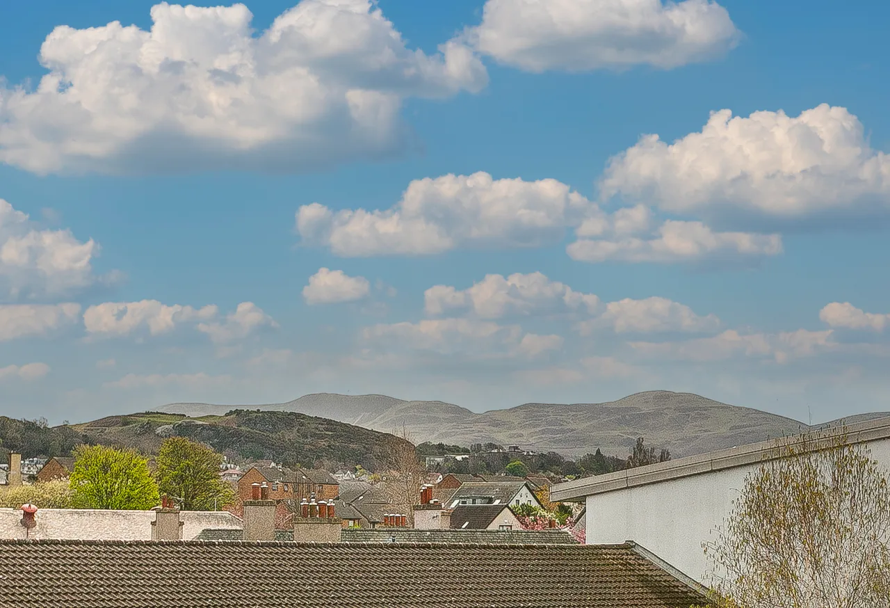 Saughton Avenue, Edinburgh, EH11, photo 13