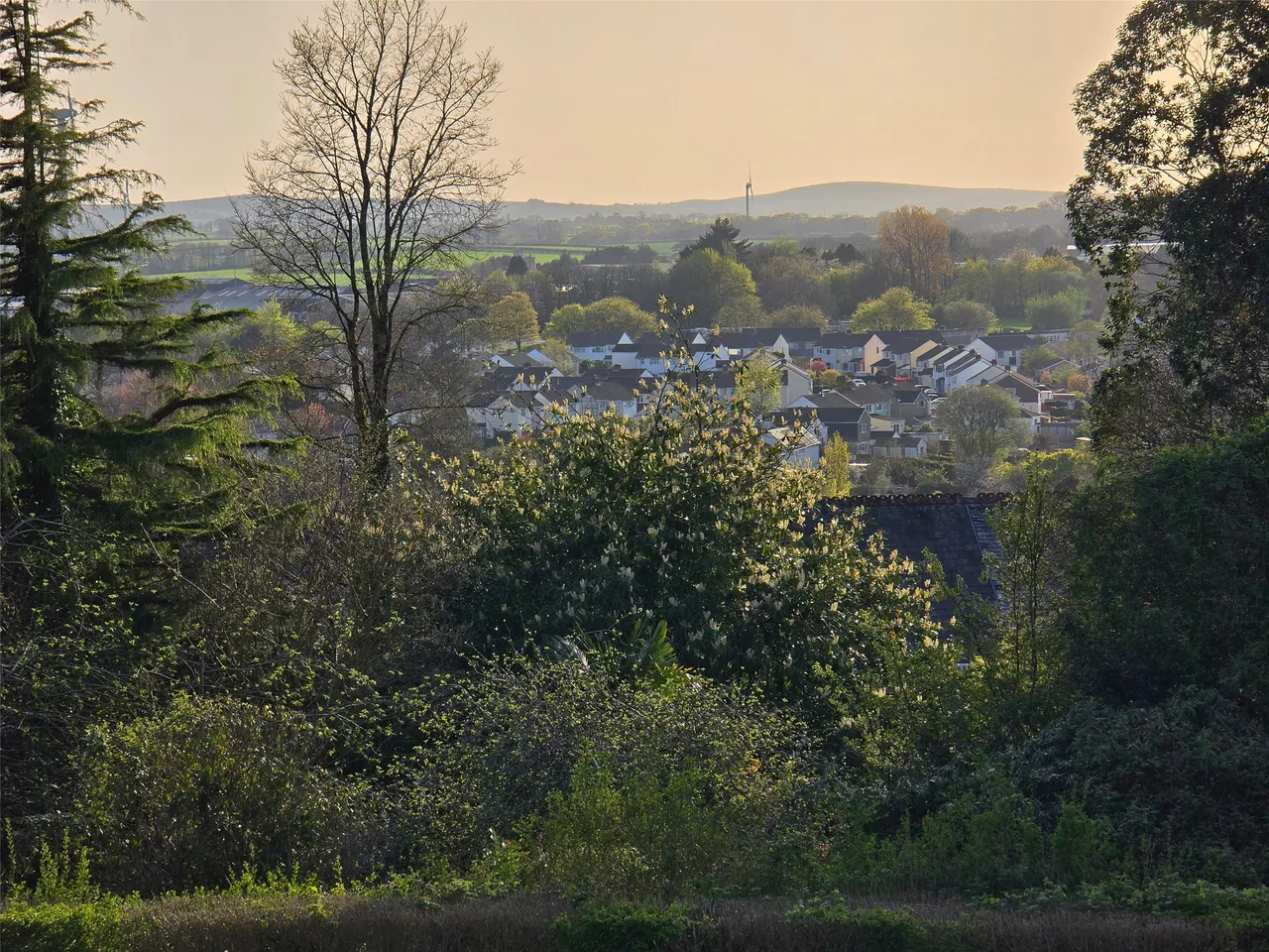 Windmill Hill, Launceston, PL15, photo 20