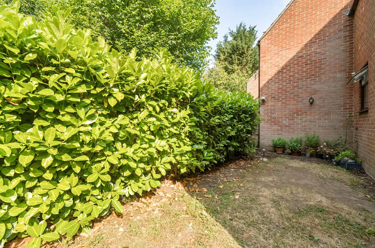 Catteshall Lane, Godalming, GU7, photo 16