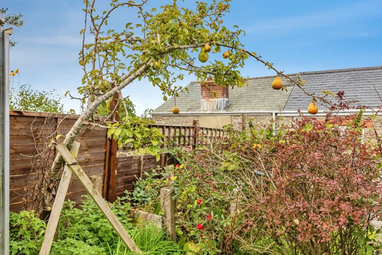 Churchill Cottage, Totnes, TQ9, photo 25