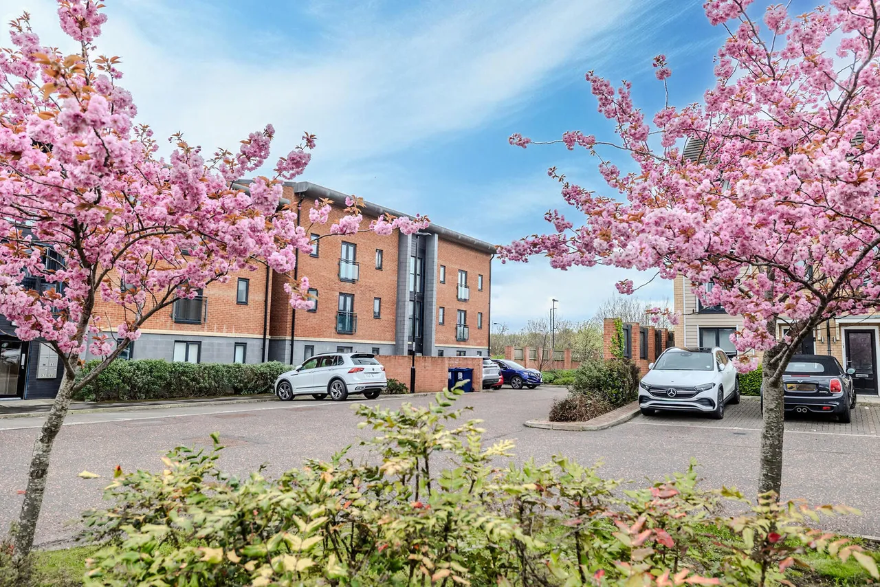 Elmwood Park Court, Newcastle Great Park, photo 16