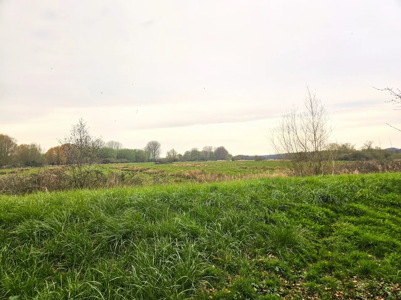 The Borough, Downton, Salisbury, Wiltshire, SP5 3LX, photo 16