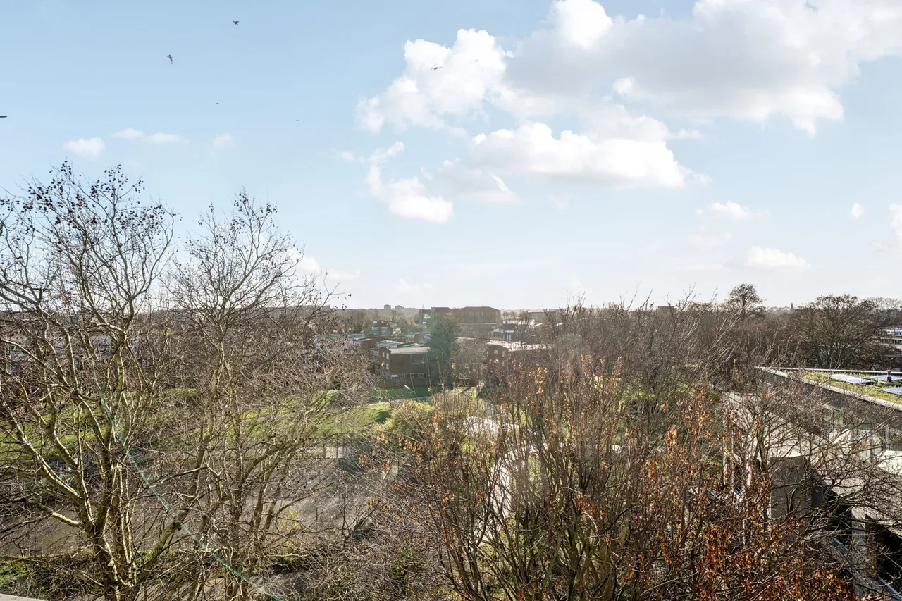 Woods Road, SE15, photo 12