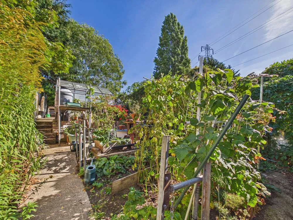 Old Heath Road, Colchester, CO2, photo 16