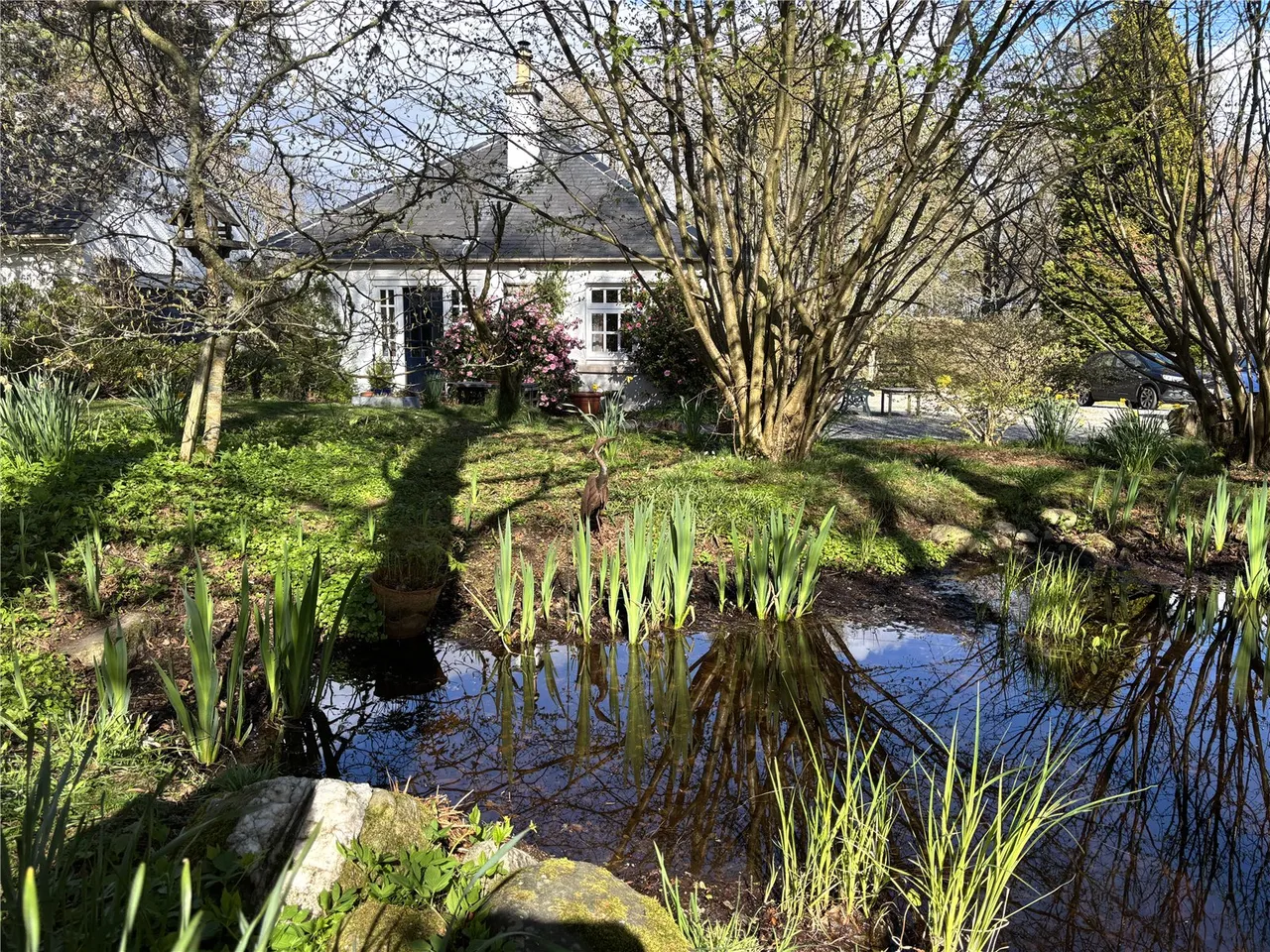 Crocnaboull, Paddock and Plot, Muir Of Ord, Highland, IV6 7TW, photo 35