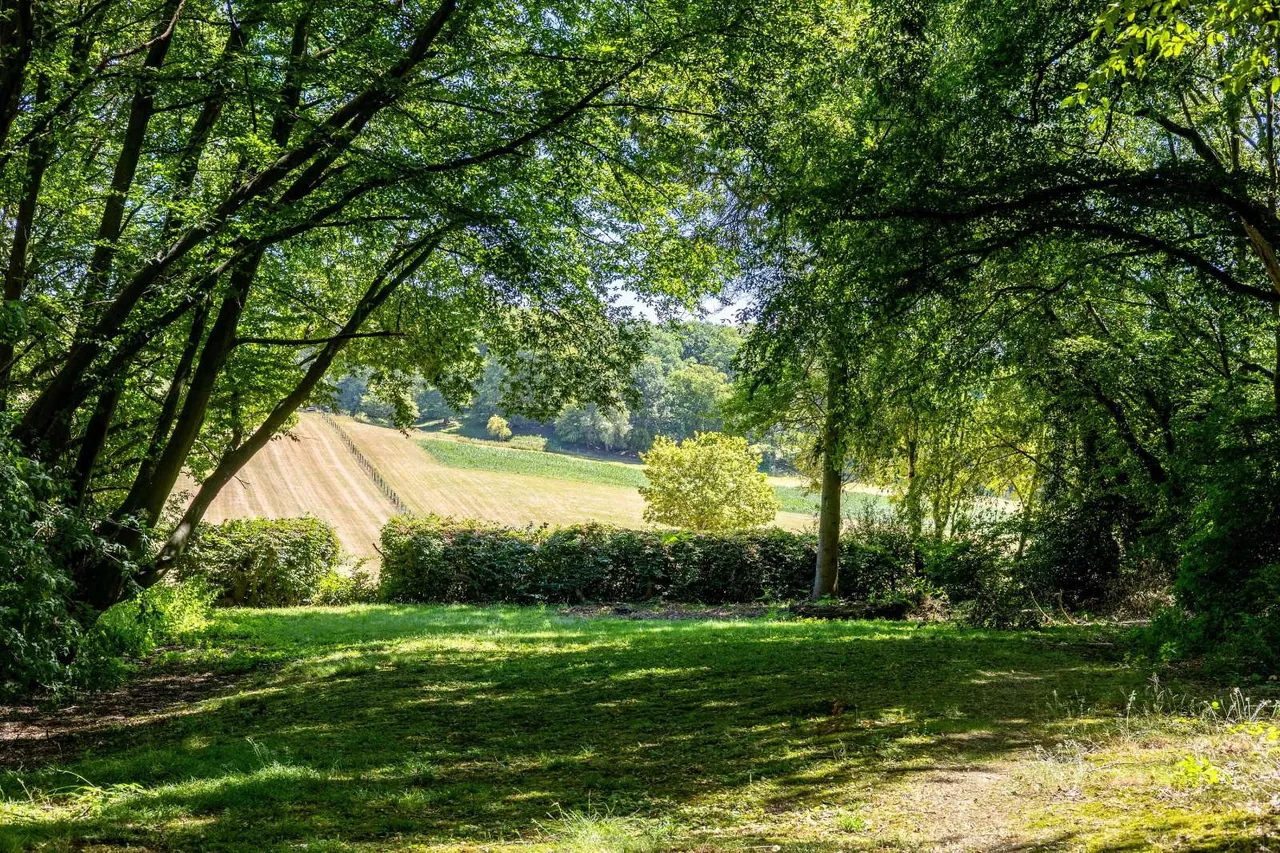 Firs Walk, Tewin, AL6, photo 25