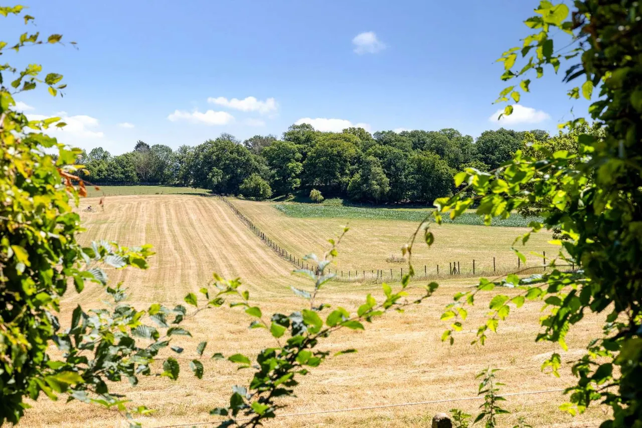 Firs Walk, Tewin, AL6, photo 26