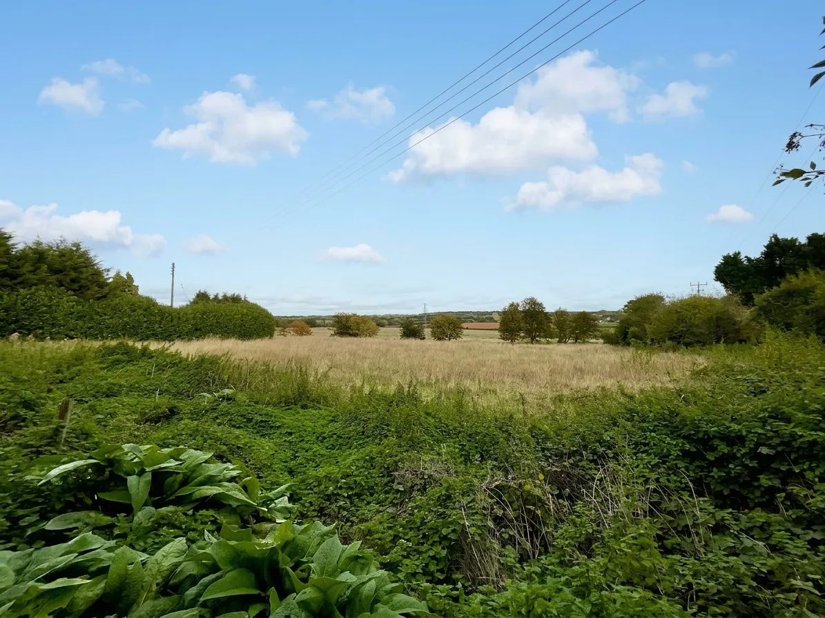 Stone Road, Tittensor, ST12, photo 26