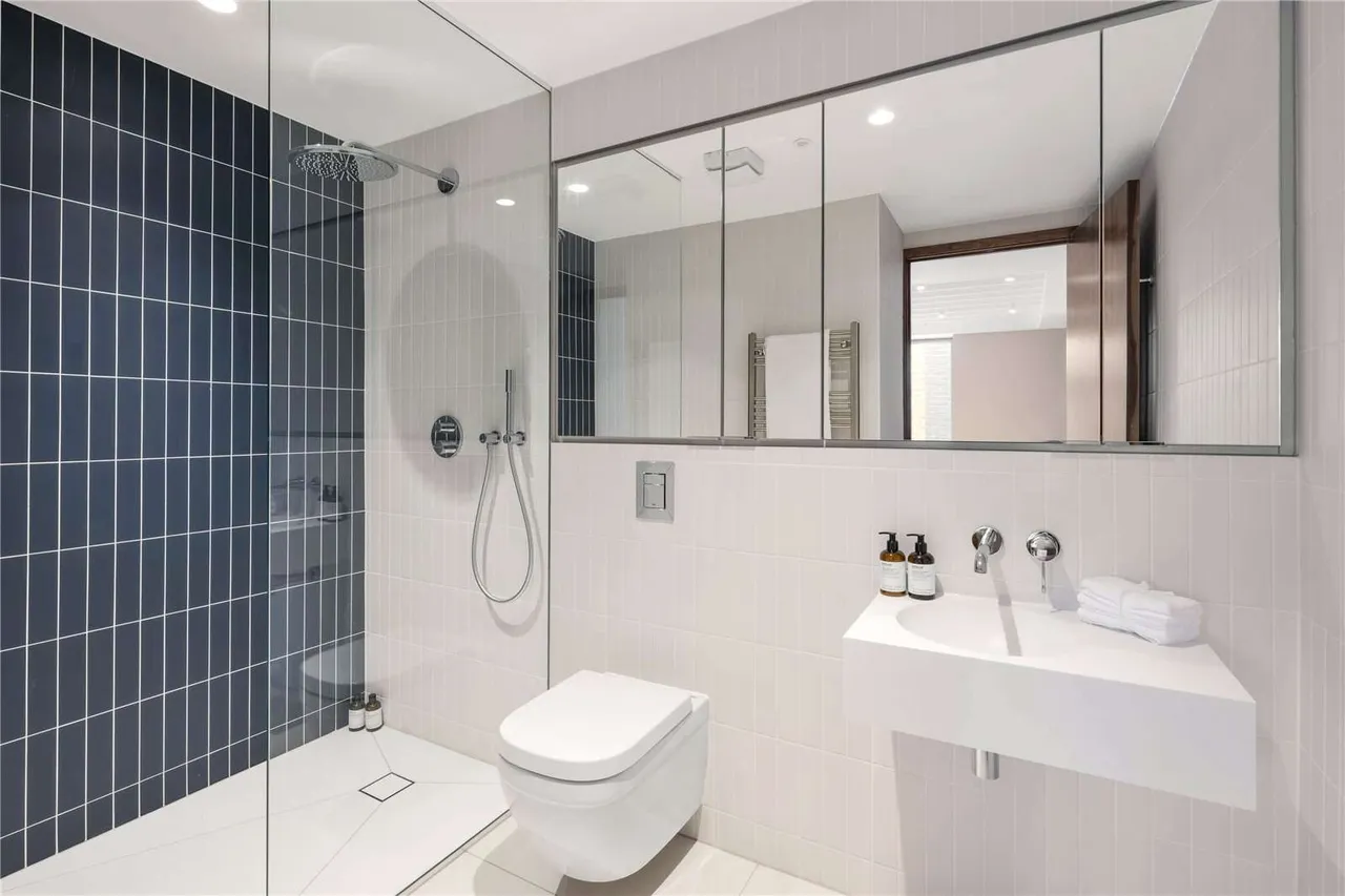Dilke Street, London, SW3 4JE, photo 9
