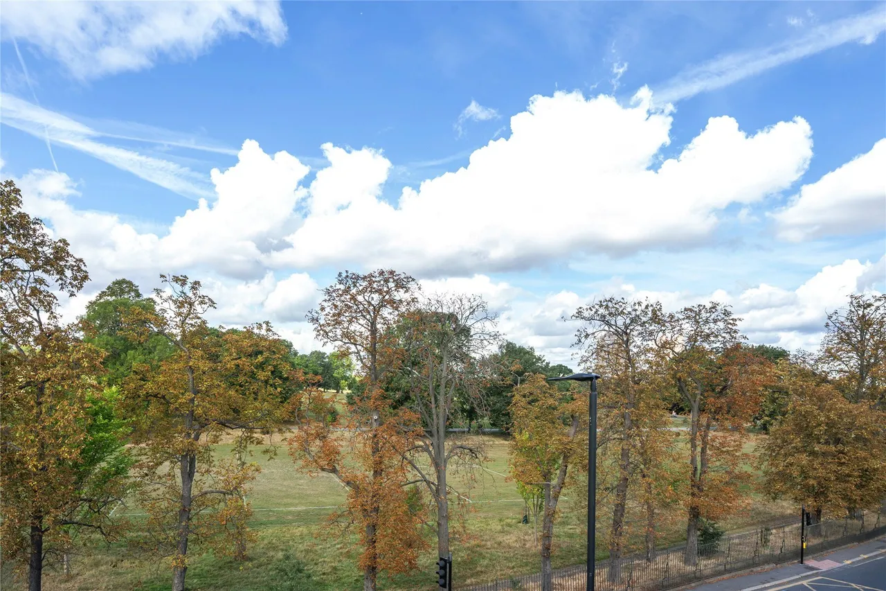 Norwood Road, London, SE24, photo 10