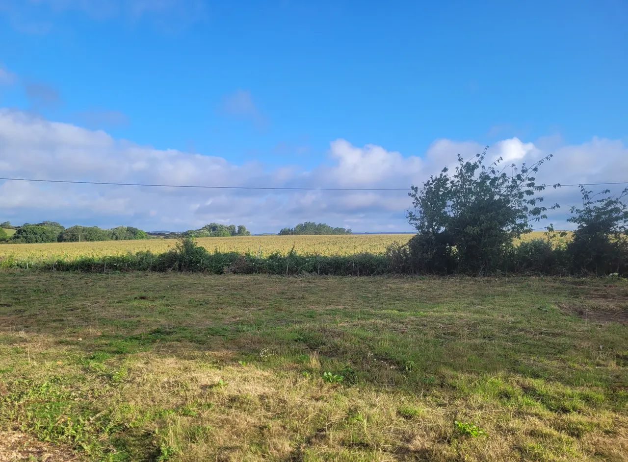 Whiteley Bank, PO38, photo 2