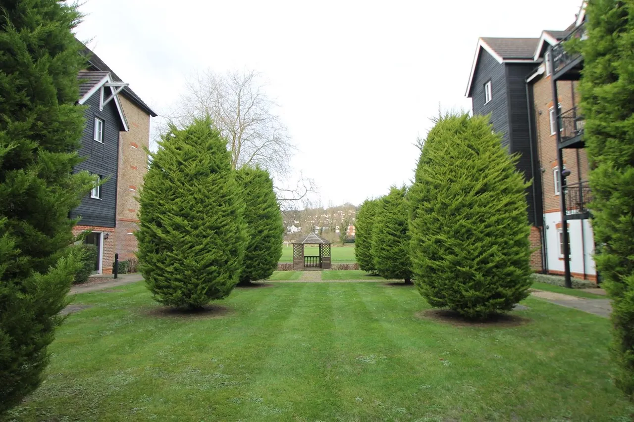 Wye Gardens, High Wycombe, HP12, photo 13