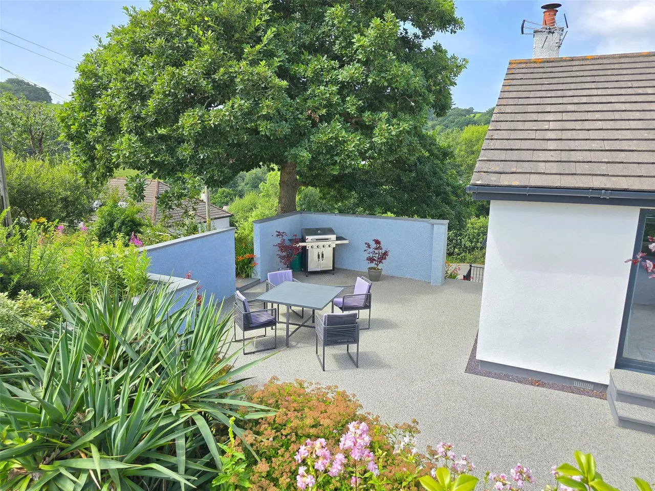 Bush, Bude, photo 29