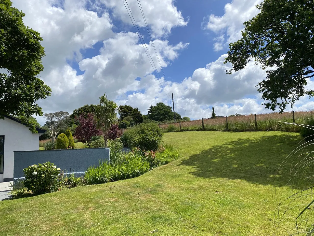 Bush, Bude, photo 27