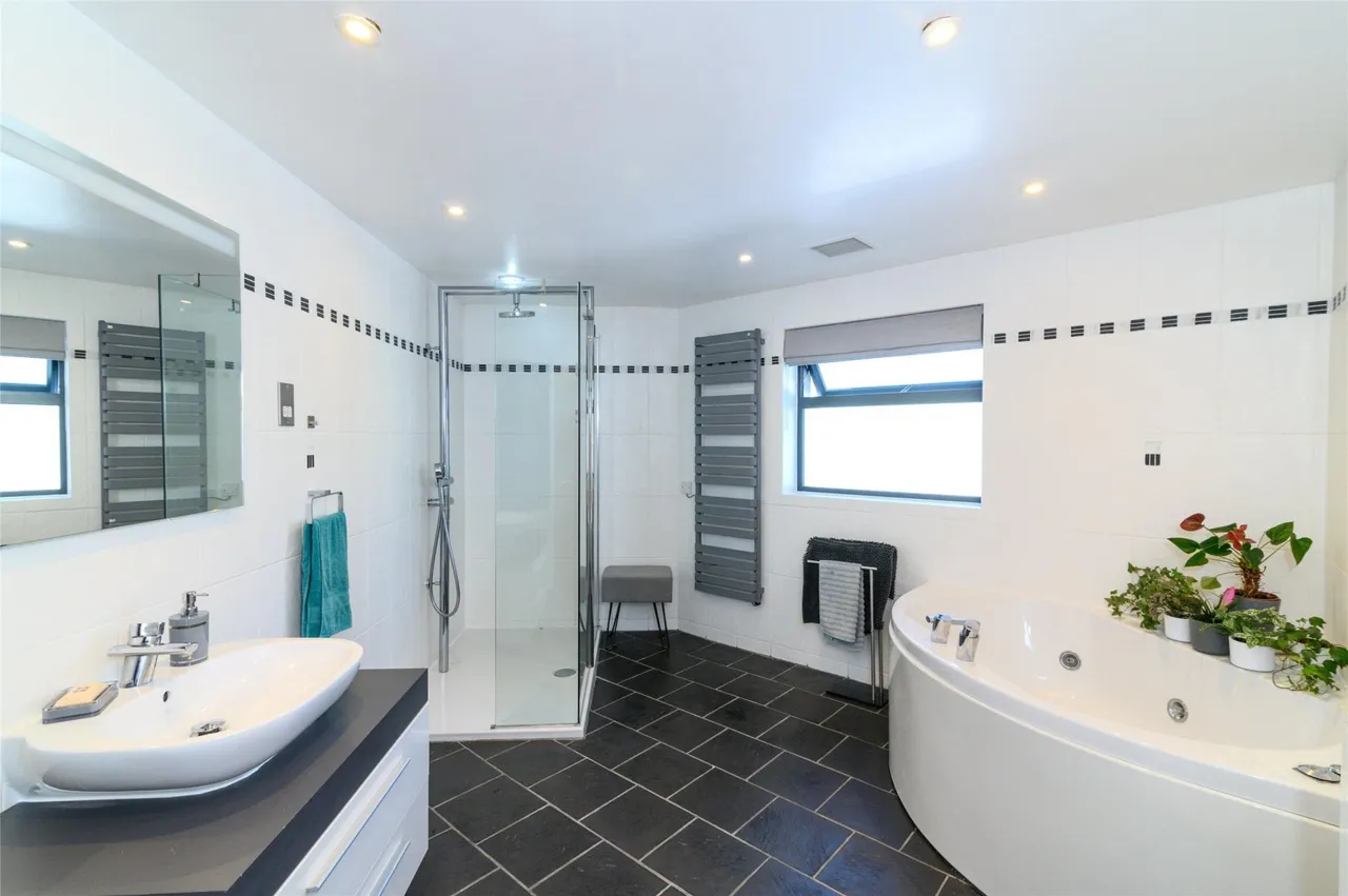 Bush, Bude, photo 23