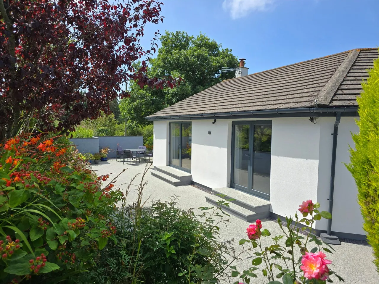 Bush, Bude, photo 30
