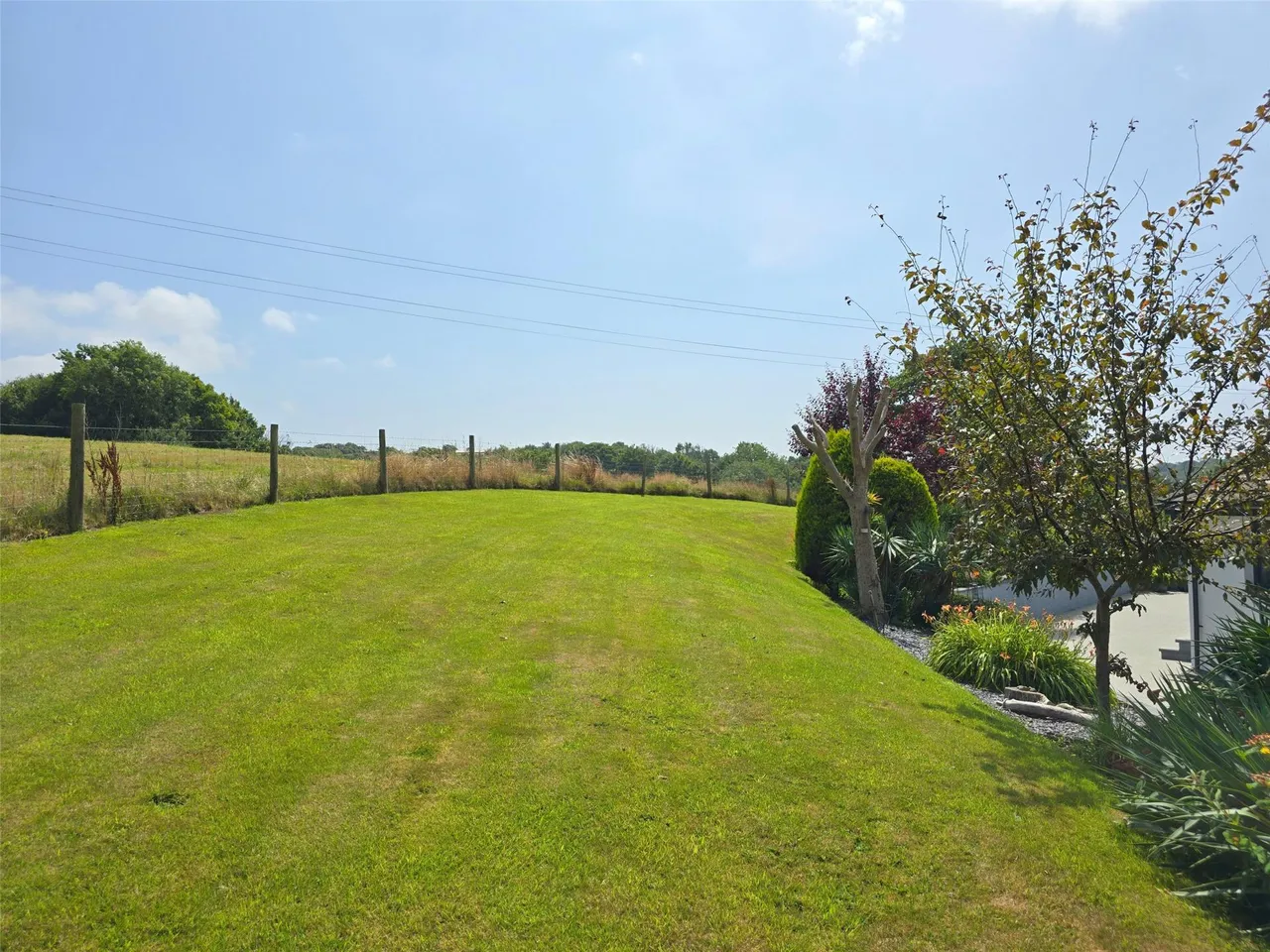 Bush, Bude, photo 32