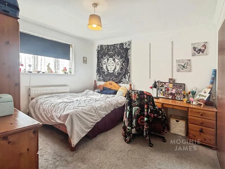 Catherine Street, Cathays, CF24, photo 4