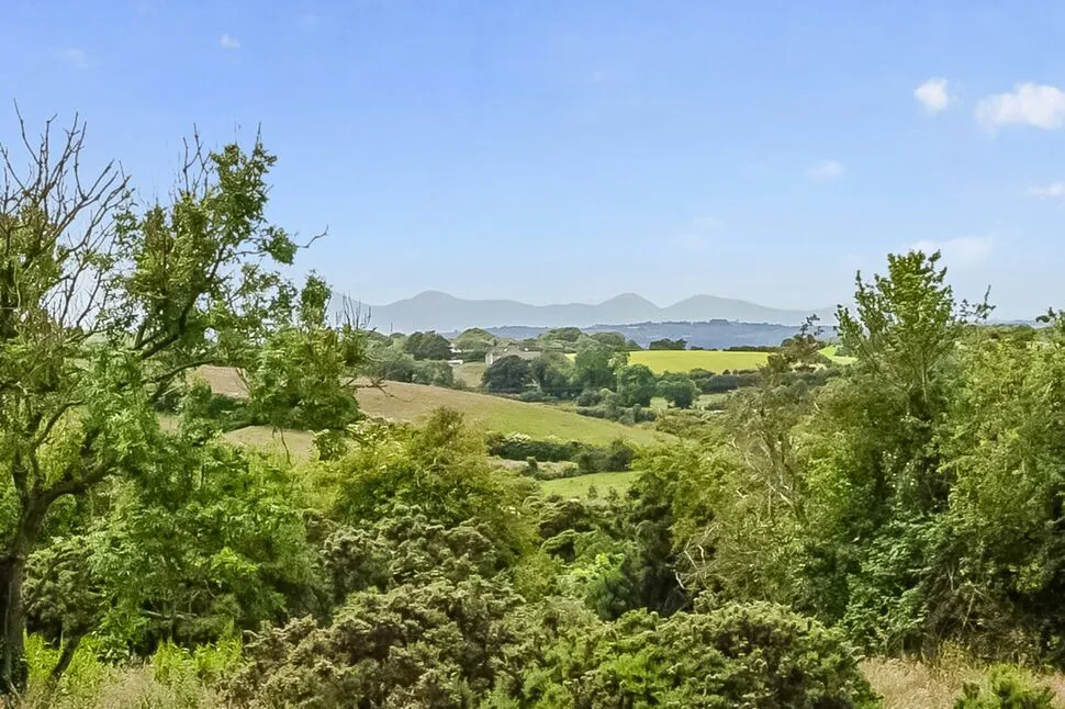 Carrowdore Road, Carrowdore, BT22, photo 57