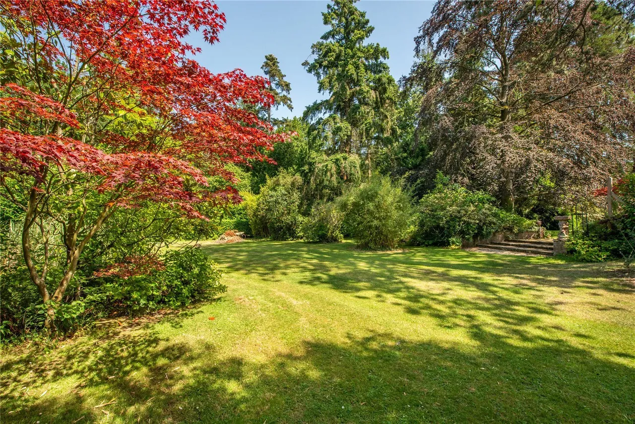 Ockley Road, Beare Green, RH5, photo 5