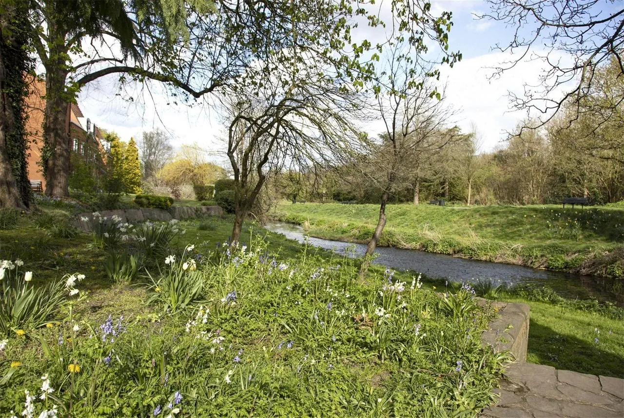 Nightingale Walk, Farnham, GU9, photo 8