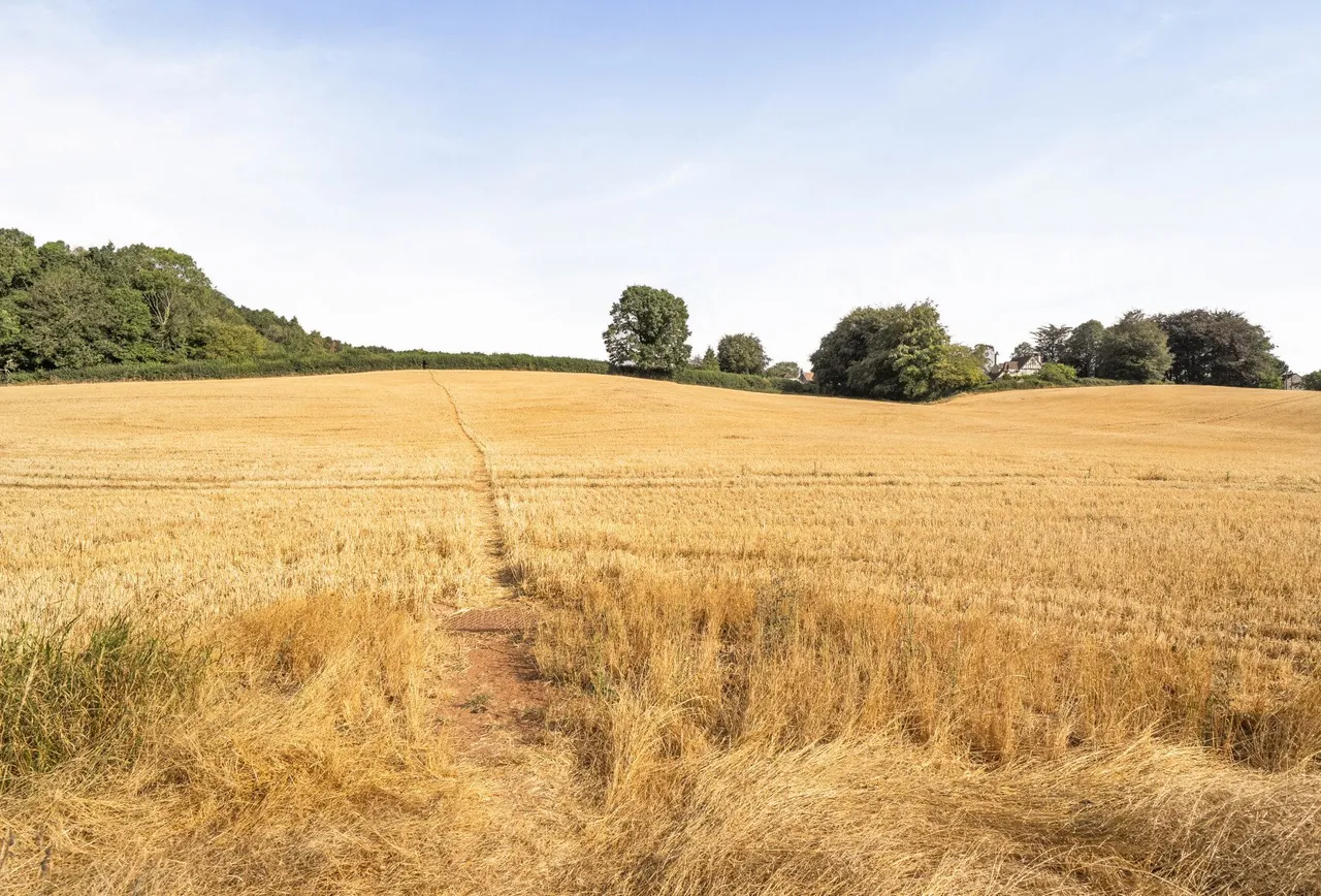 Thicket Mead, Somerset, Midsomer Norton, BA3 2SL, photo 16