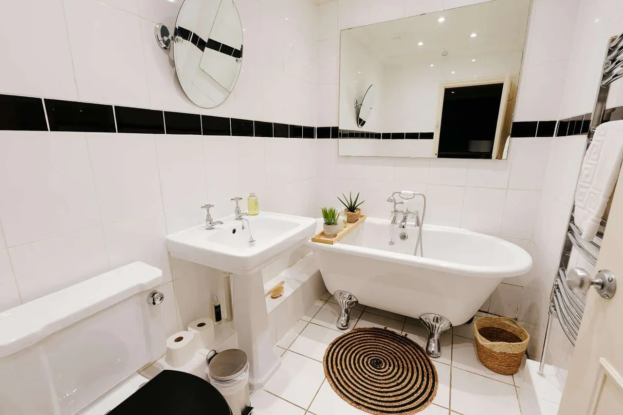 Vyvyan Terrace, Bristol, BS8, photo 17