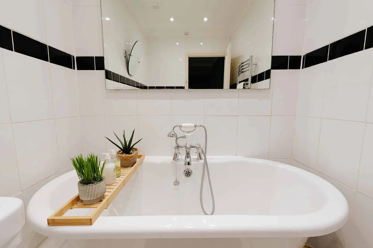 Vyvyan Terrace, Bristol, BS8, photo 18