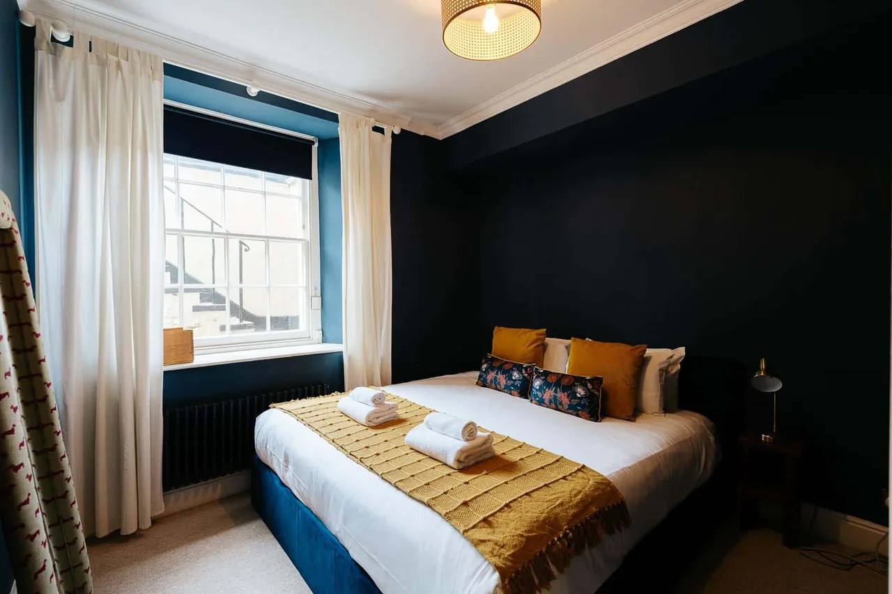 Vyvyan Terrace, Bristol, BS8, photo 11