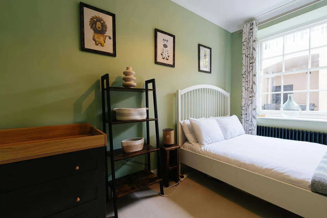 Vyvyan Terrace, Bristol, BS8, photo 15