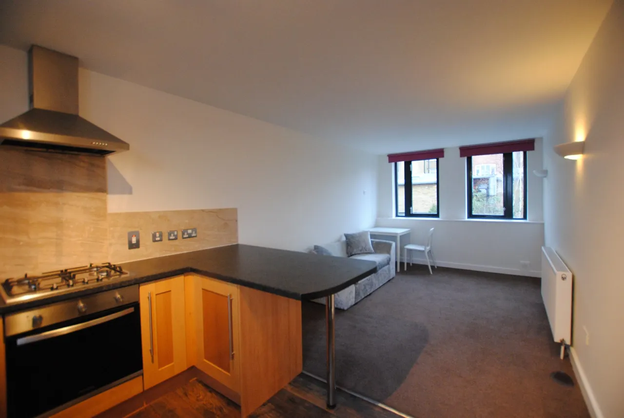 Bird in Hand Mews, Forest hill, London, SE23 3HH, photo 2