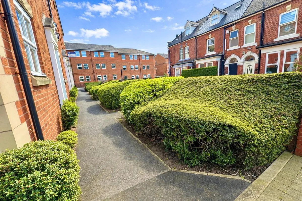 Wilkinson Street, photo 18