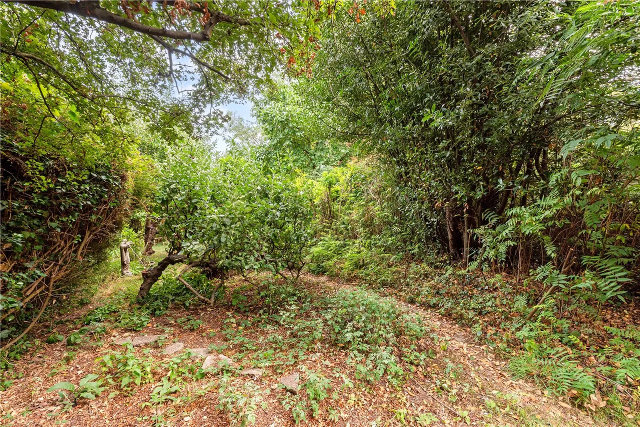 Town Lane, Petersfield, GU32, photo 3